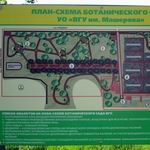 Ботанический сад | Парки и скверы | Витебск - достопримечательности