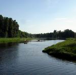 Лодочная станция на реке Витьба – и лодки, и утки, и чистый кислород.
