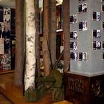 Shmyrev Museum | Museums and Exhibitions | Vitebsk - Attractions
