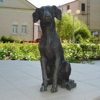 Monument to the Veterinarian | Monuments and Sculptures | Vitebsk - Attractions