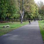 Парк имени Советской Армии (Мазурино) | Парки и скверы | Витебск - достопримечательности