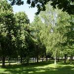Gorovets Park: a historical corner of Vitebsk.