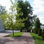 Pushkin Street | Squares, Streets, Bridges | Vitebsk - Attractions